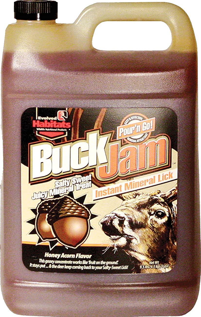 Buck Jam for best deer attractants
