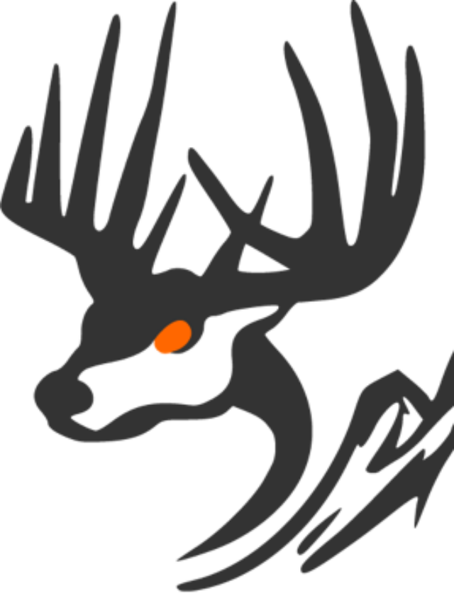 Top Deer Attractants 2022