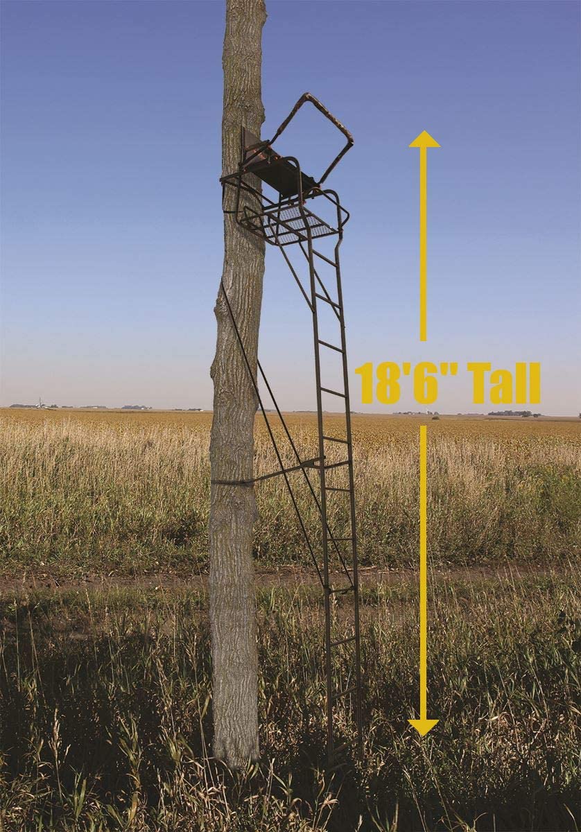 Best Tree Stands and Accessories for Hunting