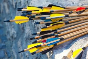 pros and cons of wooden arrows
