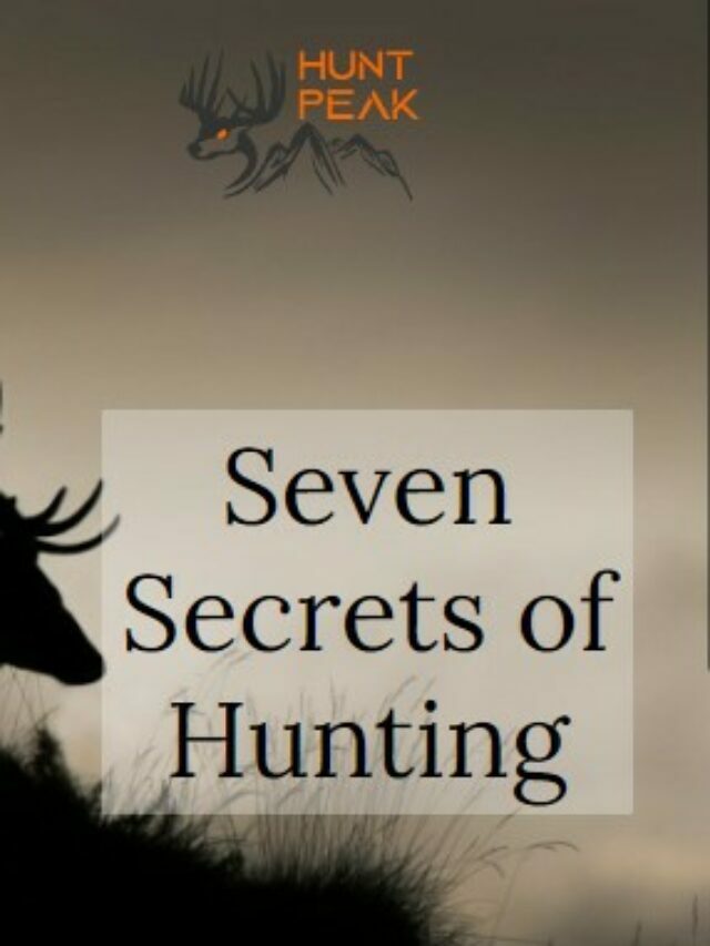 Seven Secrets of Hunting