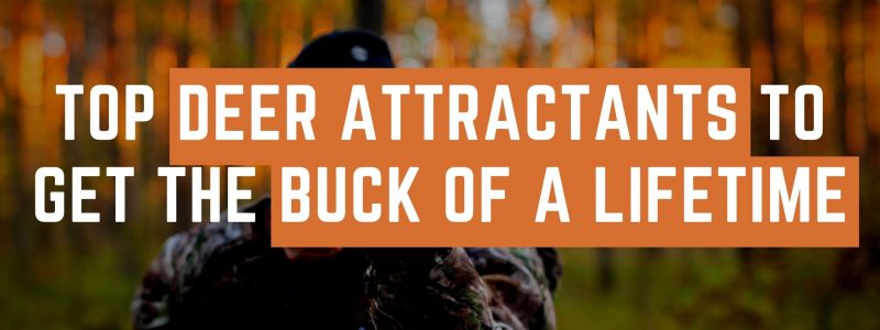 Top Deer Attractants to Get the Buck of a Lifetime in 2021