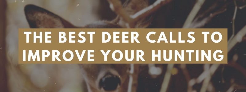 Best Deer Calls to Improve Your Hunting in 2021